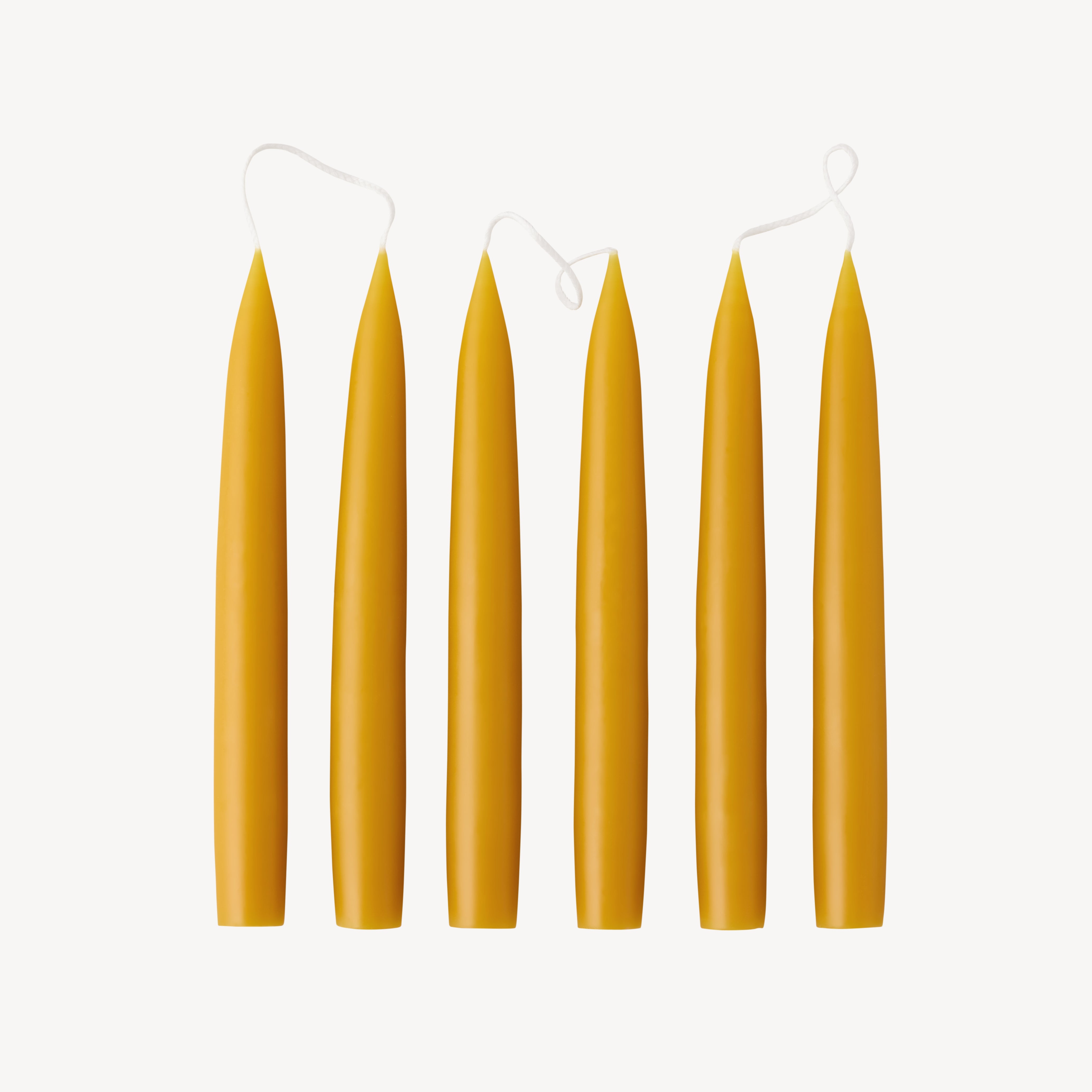 Box of 6 Candles - Taper 20 - Honey