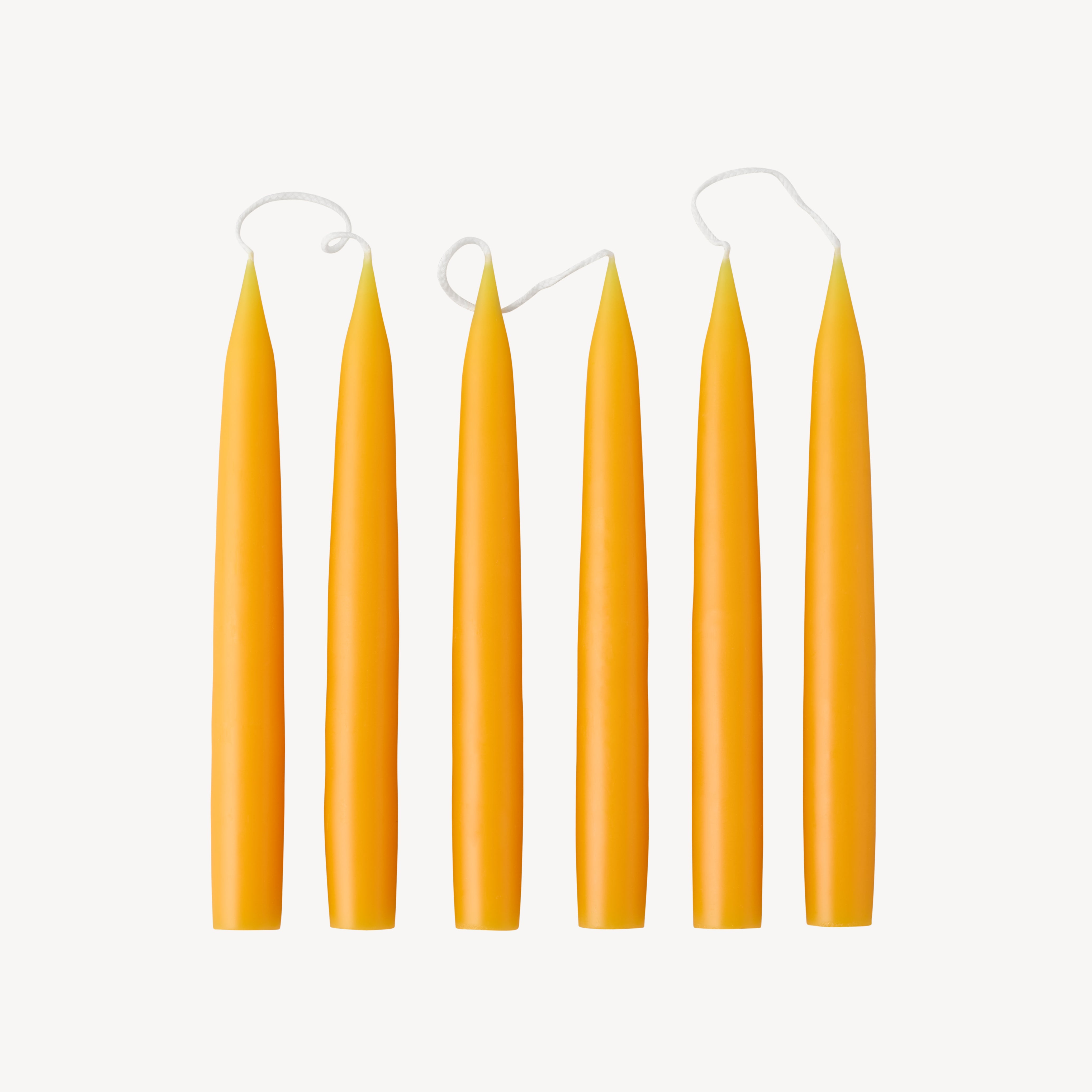 Box of 6 Candles - Taper 20 - Butterscotch